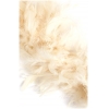Chandelle Turkey Flat Boa Ivory Approx. 60 Grams